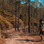 Should You Teach Your Kids About Firearms Earlier Than You Think?