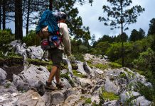 Starting a Fire in Wet Conditions: What Actually Works When Everything Is Damp